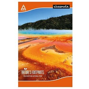 Classmate Long Notebook - 160 Pages, 33 cm x 21 cm, Single Line, 1 pc